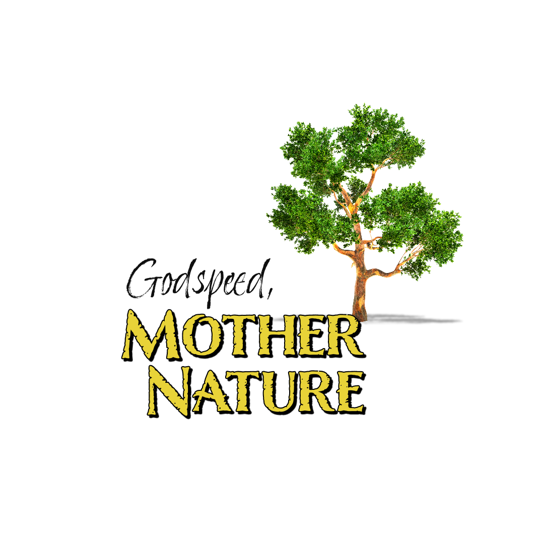 "Godspeed, Mother Nature” Ceramic Mug